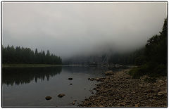 photo "***"