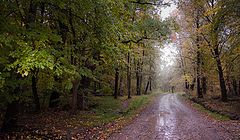 фото "Вот и кончилось лето"