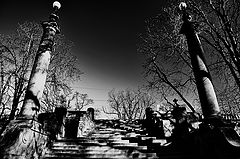 photo "Деревья, колонны и лестница"