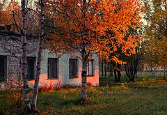 фото "осень в городе"