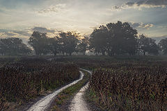photo "***"