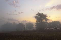 photo "***"