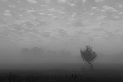 photo "***"