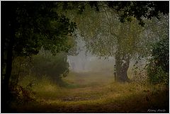photo "***"