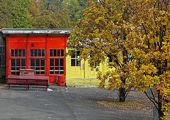 фото "Цвета осени"