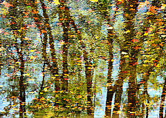 photo "***"