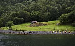 photo "Shelter"