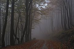 photo "***"