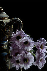 photo "***"
