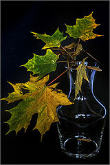 photo "***"