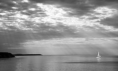 photo "***"