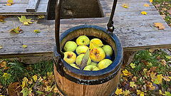 photo "Witch well and apples. Tuhala."