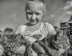 photo "***"