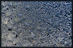 фото "Лунный свет"