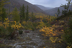 фото "Взба' иры"
