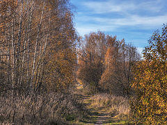 фото "Бабье лето"