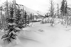 фото "Зимы начало"