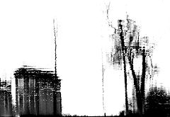 фото "***"