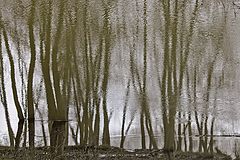 photo "***"