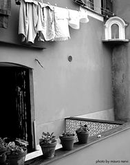 фото "the corner in the lane"