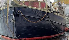 фото "in the port"