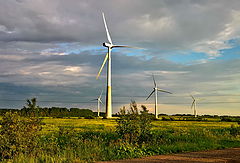 photo "Ida-Viru County. Estonia ... to rehouse the forest ...."