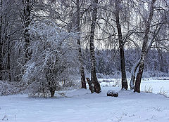 фото "Зимние зарисовки"
