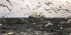 фото "В море"