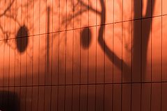 photo "***"