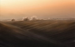 photo "***"