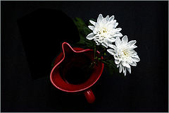 photo "***"
