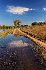 photo "*"