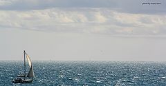 фото "calm"