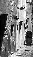 фото "the lane"