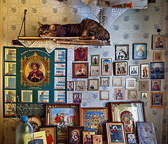 фото "Божия тварь))"
