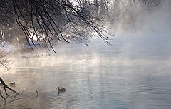 photo "***"