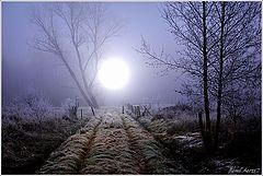 photo "***"