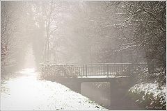 photo "***"