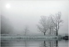 photo "***"