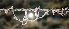 photo "***"