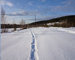 фото "Тропа"