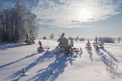photo "***"