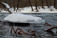 фото "Однажды в речке."