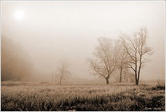 photo "***"