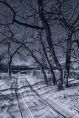 photo "***"