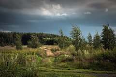 photo "***"