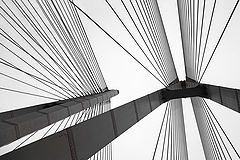 фото "Струны моста"