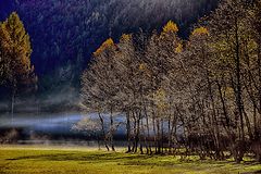 photo "mystical fog"