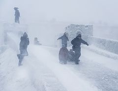 photo "Штормовое предупреждение, куда податься норильчонку"