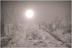 photo "***"
